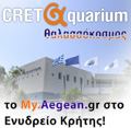 �������� ������ �CretAquarium�
